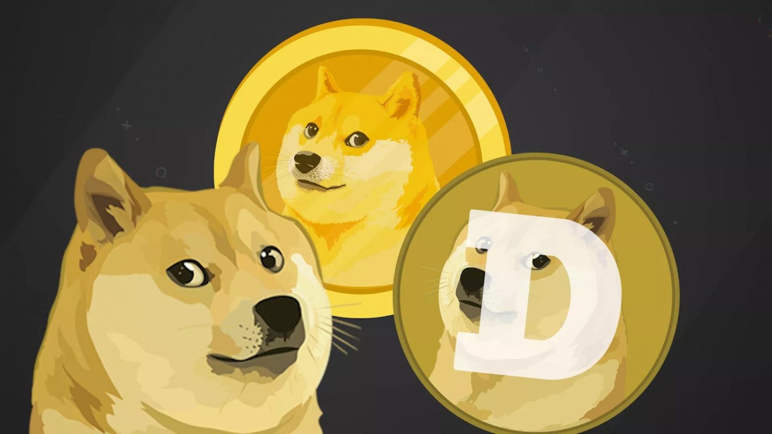 How to Buy Dogecoin – Everything You Need to Know ...